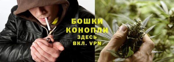 эйфоретик Губаха