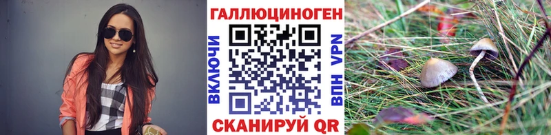 Псилоцибиновые грибы прущие грибы  hydra рабочий сайт  Белый 